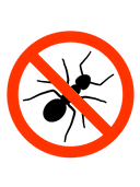 Ant & Fly Control