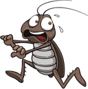 Cockroach Control